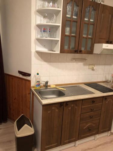 Kuchyňský kout v apartmánu ZAPART Harrachov